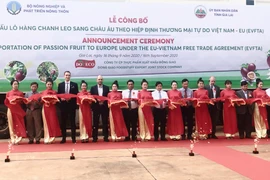 DOVECO Gia Lai: Khẳng định thương hiệu trên thị trường thế giới