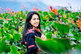 Dong riềng bên núi