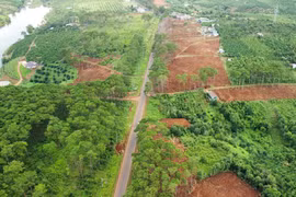 Đắk Nông khôi phục màu xanh cho rừng cảnh quan ven Quốc lộ 28