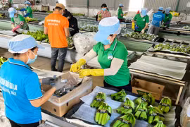 Việt Nam xuất khẩu tăng trưởng hơn 20% sang EU nhờ Hiệp định EVFTA