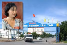 Bà Đặng Thị Hoàng Yến rút gần 2.000 tỉ đồng của Tập đoàn Tân Tạo để làm gì?