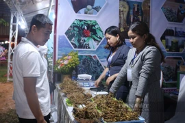 30 gian hàng trưng bày, bán sản phẩm tại phiên chợ sâm Ngọc Linh lần thứ IV