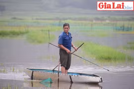 Nhọc nhằn bắt ốc mưu sinh