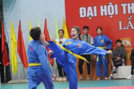 Mãn nhãn những đòn đánh Vovinam