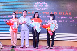 Gia Lai: 9 tập thể, 120 cá nhân đạt giải tại 3 cuộc thi cấp tỉnh