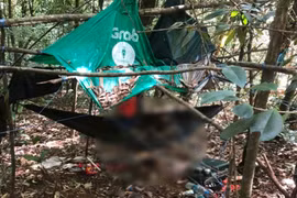 Xác định được giới tính 2 thi thể giữa rừng Kbang