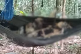 Kbang: Phát hiện 2 thi thể chỉ còn xương khô giữa vùng rừng giáp ranh