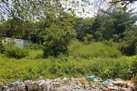 TP. Hồ Chí Minh: Phát hiện thi thể trong tư thế treo cổ tại khu đất trống