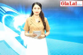 Gia Lai 48h: Doanh nghiệp vận tải rục rịch hạ giá cước