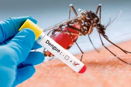 Thêm 1 trường hợp tử vong do sốt xuất huyết