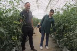 7 năm làm nông trại thông minh, chàng trai 8X Đà Lạt có khối tài sản mơ ước trăm tỷ