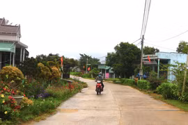 Xem xét, công nhận, công bố và thu hồi quyết định địa phương đạt chuẩn nông thôn mới