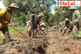 Biến đầm hoang thành đồng ruộng cho dân làng