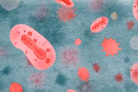 Đã có 4/11 nước Đông Nam Á ghi nhận bệnh nhân mắc đậu mùa khỉ