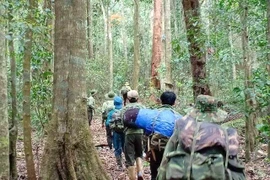 Đắk Nông kiện toàn bộ máy làm việc của ngành Kiểm lâm