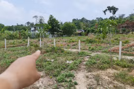 Vướng vào cơn "sốt đất ảo", 3 người phụ nữ bị lừa hơn 12 tỷ đồng