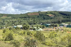 Kiên quyết thu hồi đất công bị lấn chiếm ở cụm công nghiệp tại Đak Nông