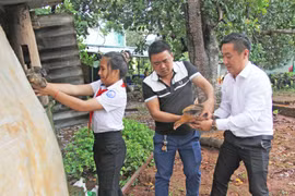 Thắp sáng ước mơ cho em