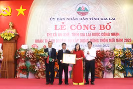 An Khê công bố hoàn thành nhiệm vụ xây dựng nông thôn mới
