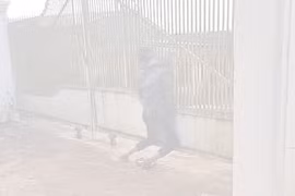 Lâm Đồng: 1 người đàn ông tử vong trong tư thế treo cổ