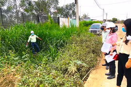 Xác minh thông tin phản ánh Nhà máy Đường An Khê gây ô nhiễm môi trường