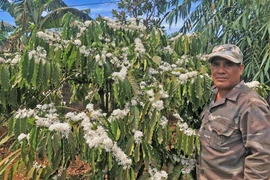 "Đầu tàu" làng Klăh-Băng