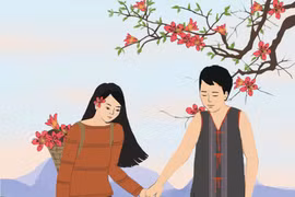 Mùa pơ lang nở hoa