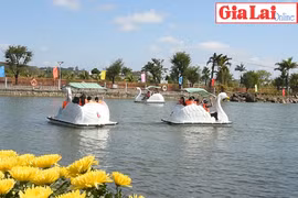 Vui Tết ấm áp, đảm bảo an toàn phòng dịch