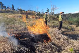 Quyết liệt phòng-chống cháy rừng
