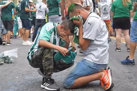 CĐV Brazil bị bắn chết khi xem trận Palmeiras thua Chelsea Club World Cup