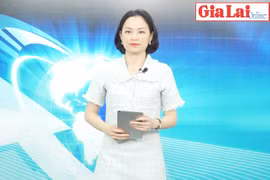 Tiềm ẩn nguy cơ dịch bệnh trên đàn vật nuôi