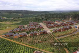 Lâm Đồng: Hàng triệu mét vuông đất được phân lô, tách thửa sau… hiến đất làm đường