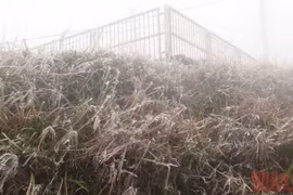 Đỉnh Phja Oắc âm 6 độ C, Mẫu Sơn xuất hiện băng tuyết