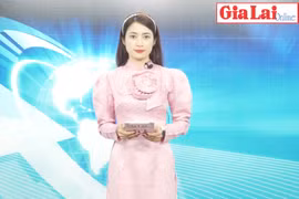 Gia Lai 48h: Quyết liệt triển khai thực hiện Nghị quyết Đại hội đại biểu Đảng bộ tỉnh lần thứ XVI