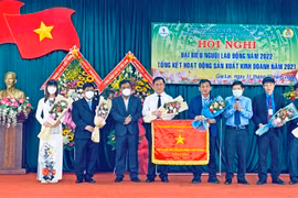 Nhiều tập thể và cá nhân Công ty TNHH một thành viên Cao su Mang Yang được khen thưởng