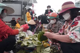 Bình Định: Người dân đổ xô đi mua lộc đầu năm tại hội chợ Gò