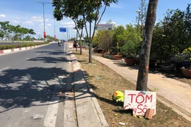 TP. Hồ Chí Minh: Điều tra vụ một người chết ngày mùng 1 tết trên đường Phạm Văn Đồng