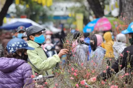 Chủ tịch nước Nguyễn Xuân Phúc chúc Tết Nguyên đán Nhâm Dần 2022