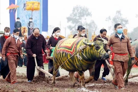 Chủ tịch nước Nguyễn Xuân Phúc xuống đồng cày ruộng trong lễ tịch điền