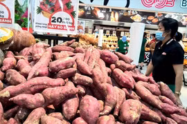 Trung Quốc tiếp tục là thị trường xuất khẩu lớn của Việt Nam