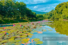 Du lịch Thái Nguyên: Hồ Ghềnh Chè đẹp như tranh vẽ, hút hồn du khách
