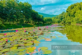 Du lịch Thái Nguyên: Hồ Ghềnh Chè đẹp như tranh vẽ, hút hồn du khách
