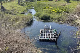 Lội xuống suối sửa máy bơm nước, người làm vườn bị điện giật tử vong