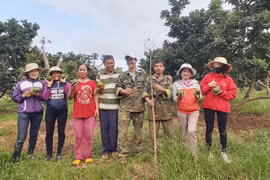 Cô gái tạo ra sản phẩm tiền triệu từ quả bơ như thế nào?