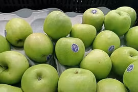 8 lợi ích làm đẹp của quả táo xanh