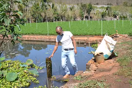 Chuyện chưa biết về giếng cổ ở Đak Đoa