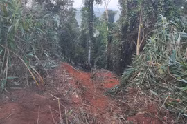 Đak Đoa: Xe tải lao xuống vực, 6 người chết, 3 người bị thương