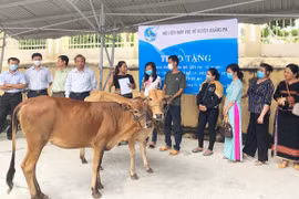 Krông Pa quan tâm hỗ trợ sinh kế cho phụ nữ nghèo