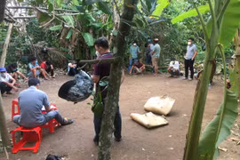 Cảnh sát hình sự phục kích, tóm gọn 42 đối tượng đá gà