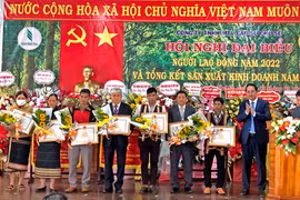 Công ty TNHH một thành viên Cao su Chư Sê vượt khó, về đích vượt kế hoạch